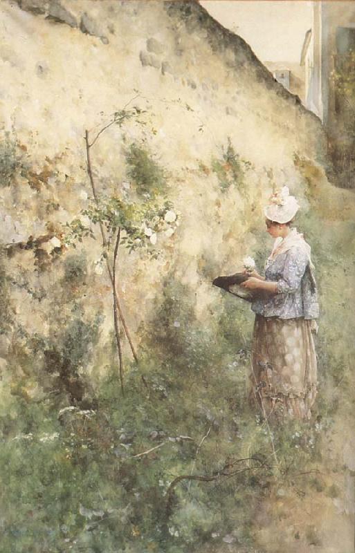 Carl Larsson The Old Wall Sweden oil painting art